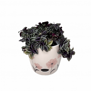 7" Pink Flower Round Self-Watering Bamboo Pot