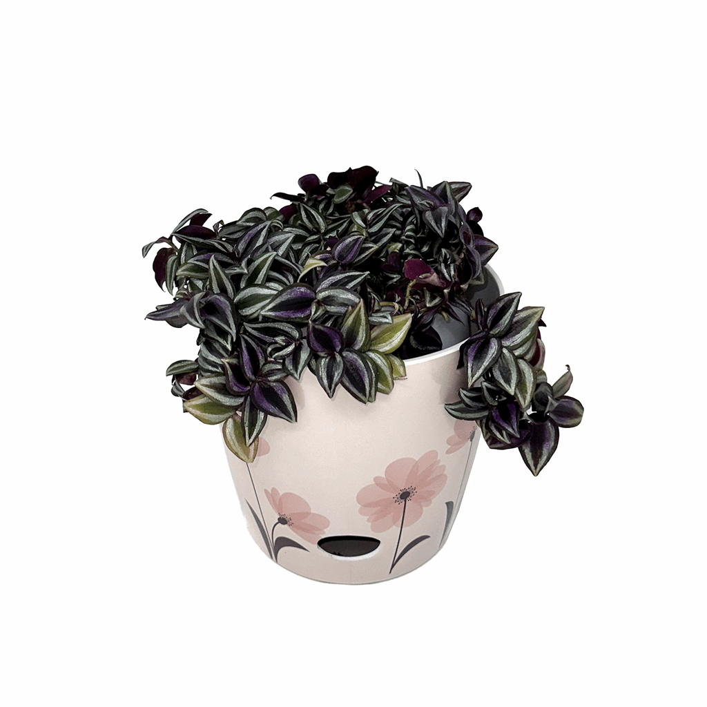 7" Pink Flower Round Self-Watering Bamboo Pot