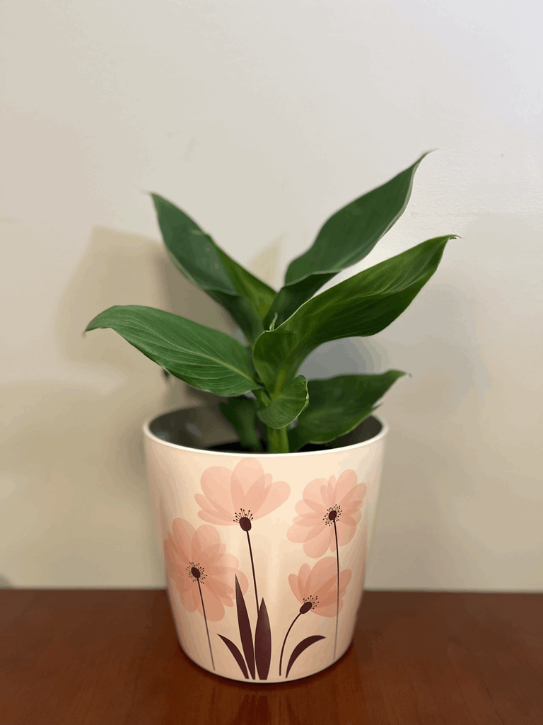 7" Pink Flower Round Self-Watering Bamboo Pot - Image 13