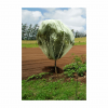 9.8' x 9.8' Fruit Tree Cover - Image 5