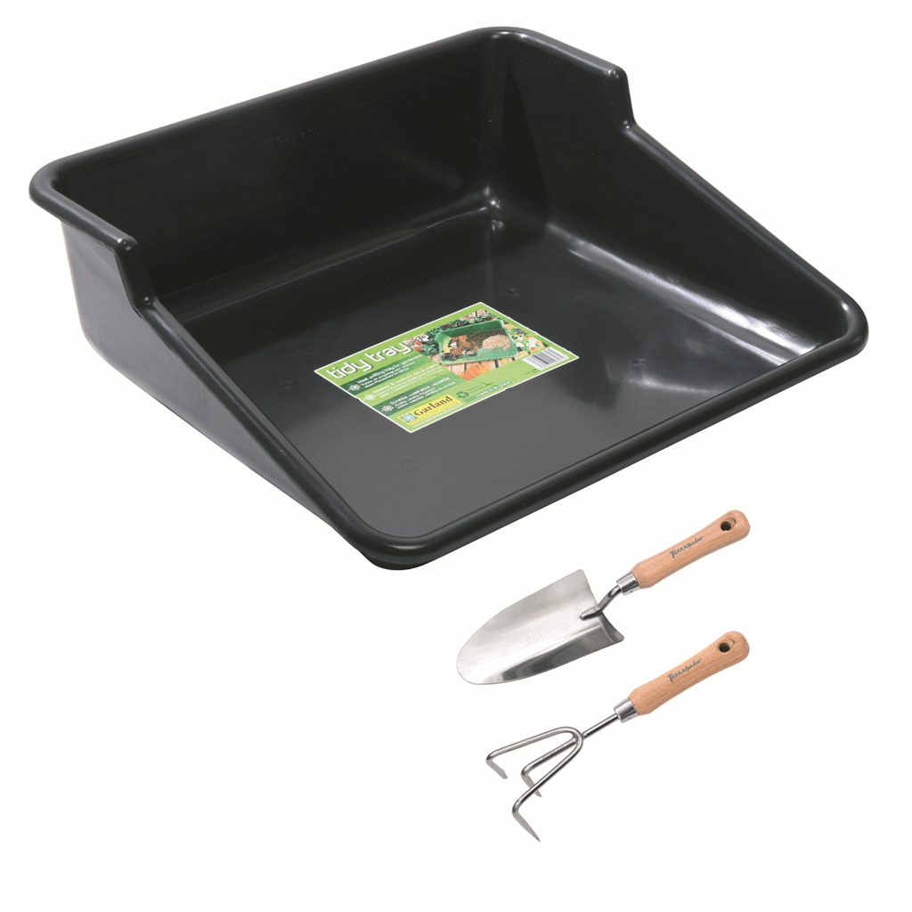 Black Tidy Tray with Stainless Steel Trowel and Cultivator