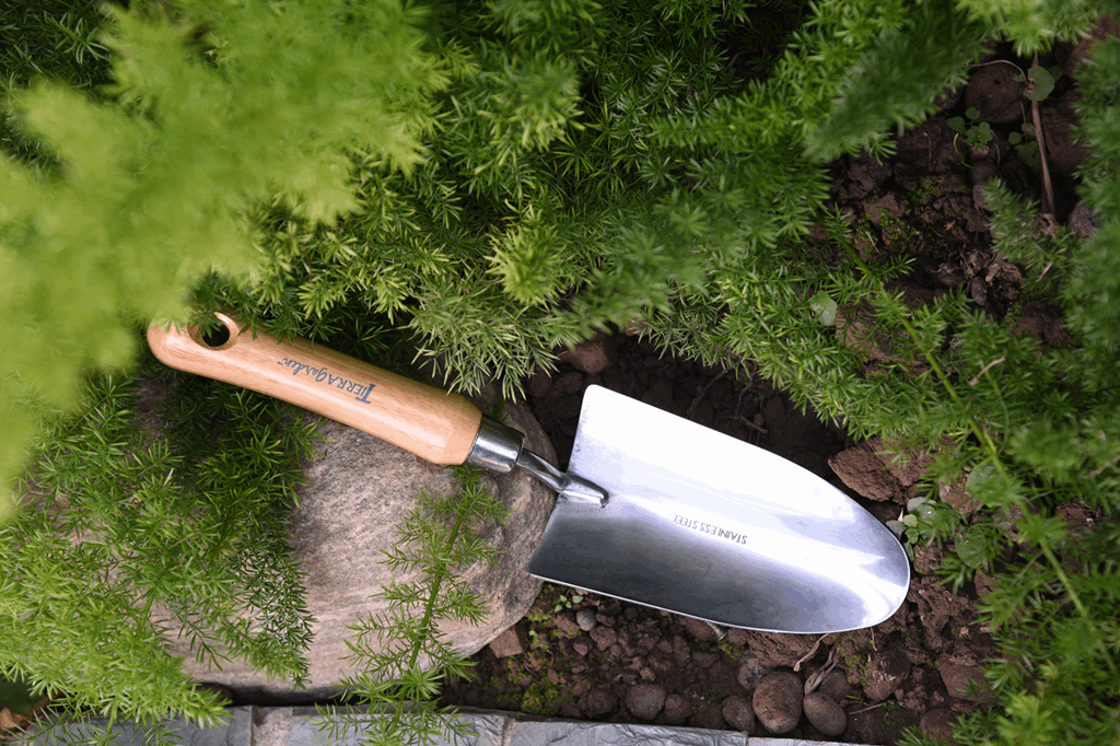 Black Tidy Tray with Stainless Steel Trowel and Cultivator - Image 4
