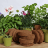 Coir 100g Disc x 10 Pack - Growlite Premium - Image 2