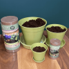 Coir 100g Disc x 10 Pack - Growlite Premium - Image 6