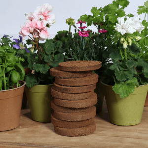 Coir 20g Disc x 10 Pack - Growlite Premium
