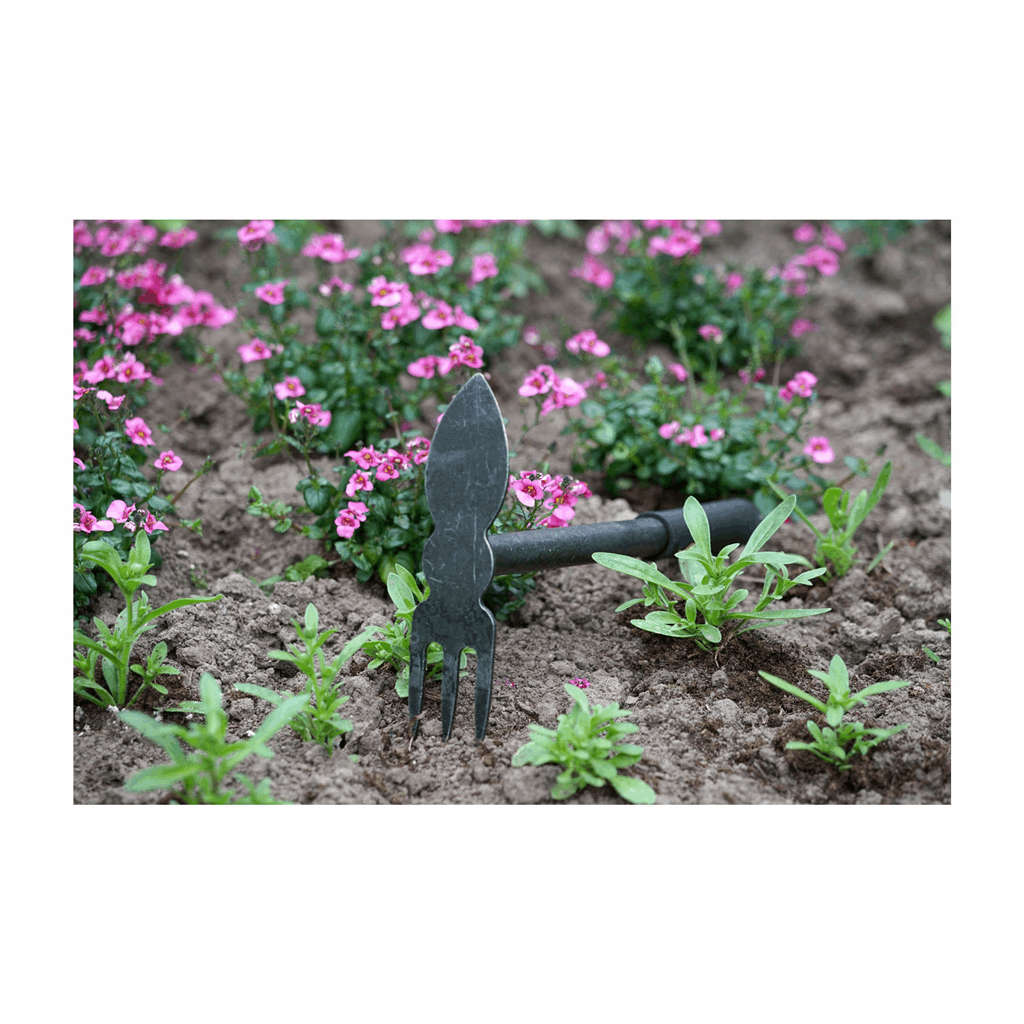 DeWit Comby Hoe - 3 Tine Cultivator / Heart Shaped - Image 2