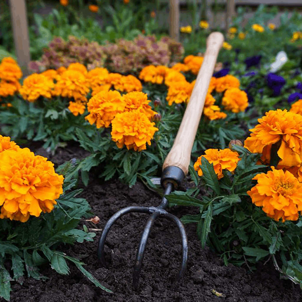 DeWit Cultivator - 3 Tine Drop Grip - Image 2