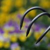 DeWit Cultivator - 3 Tine - Image 3