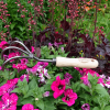 DeWit Cultivator - 3 Tine - Image 6