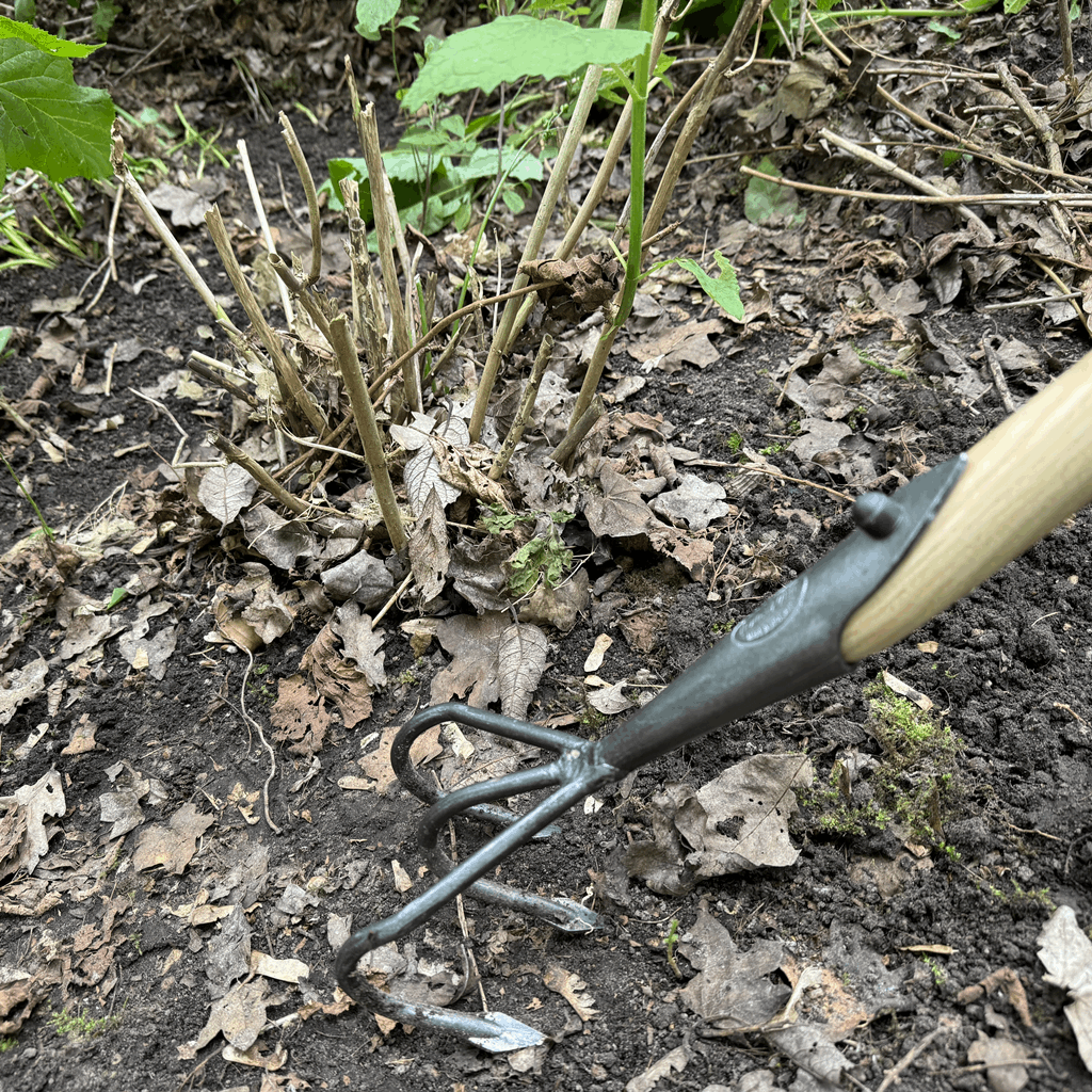 DeWit Cultivator - Flat 3-Tine Long Handle - Image 2