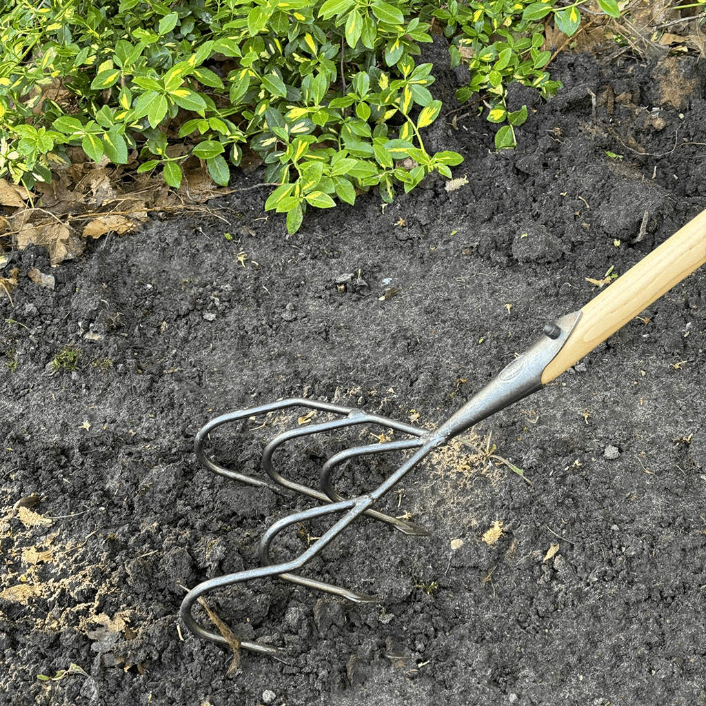 DeWit Cultivator - Flat 5-Tine Long Handle - Image 3