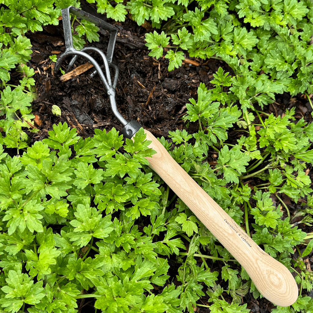 DeWit Cultivator - Stirrup with 10" Handgrip - Image 2