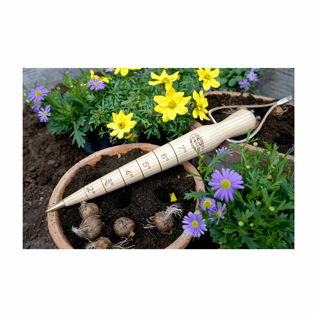 DeWit Dibber - Wooden with Brass Tip - Image 3