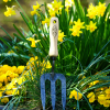 DeWit Fork - Hand - Image 6