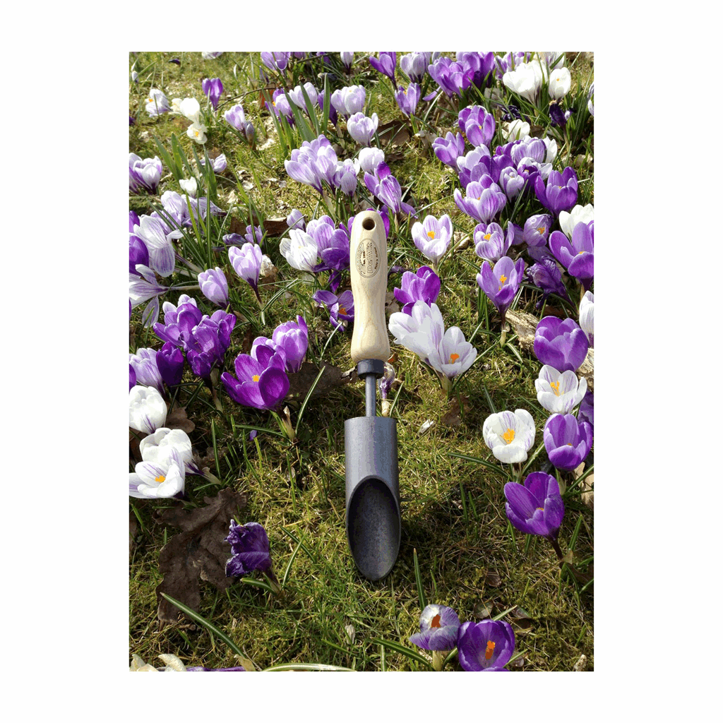 DeWit Planter - Bulb - Image 2