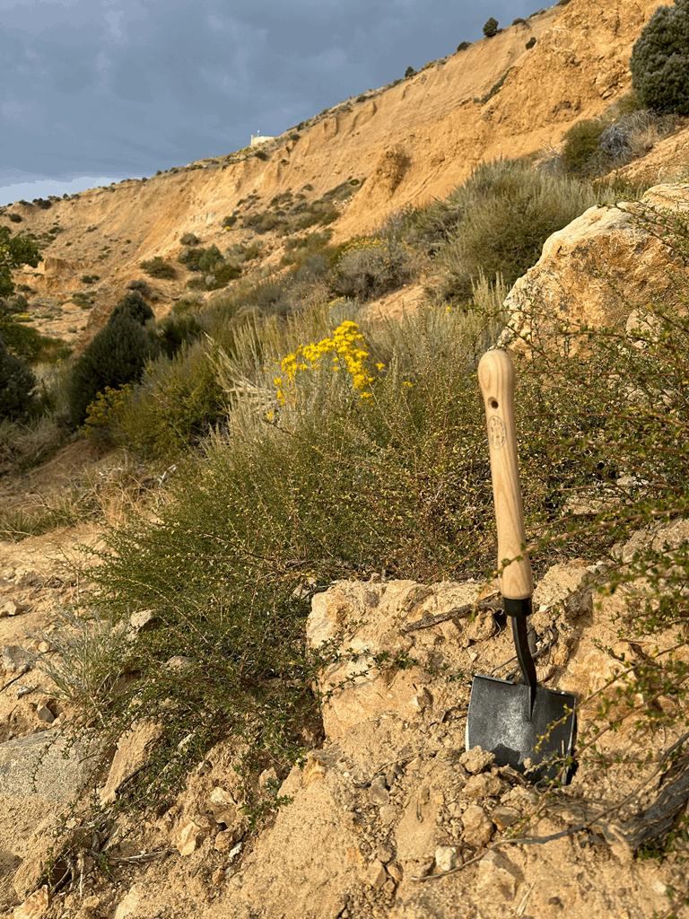 DeWit Shovel - American with 10" Handgrip - Image 6