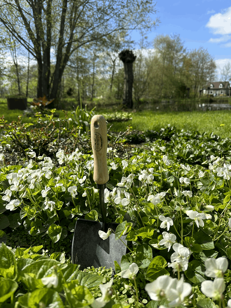 DeWit Shovel - Mini American Welldone - Image 4