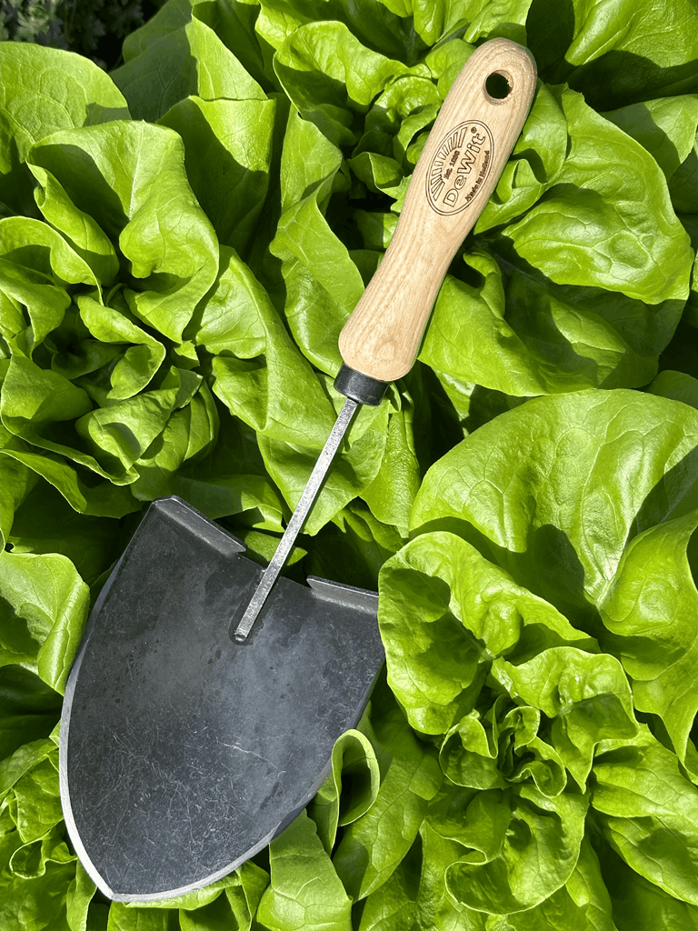 DeWit Shovel - Mini American Welldone - Image 5