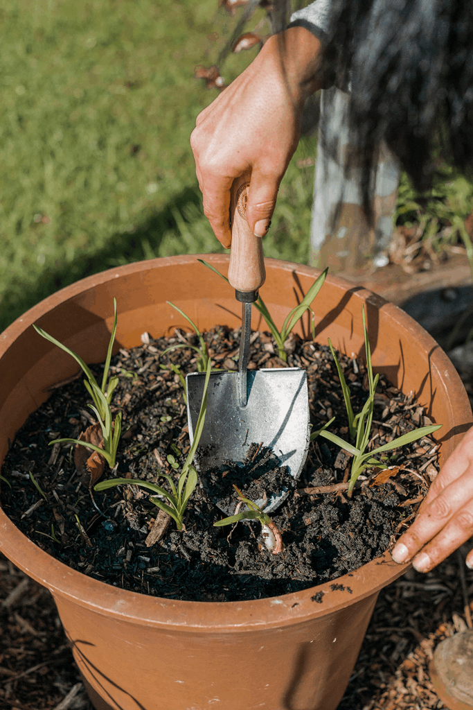 DeWit Shovel - Mini American Welldone - Image 6