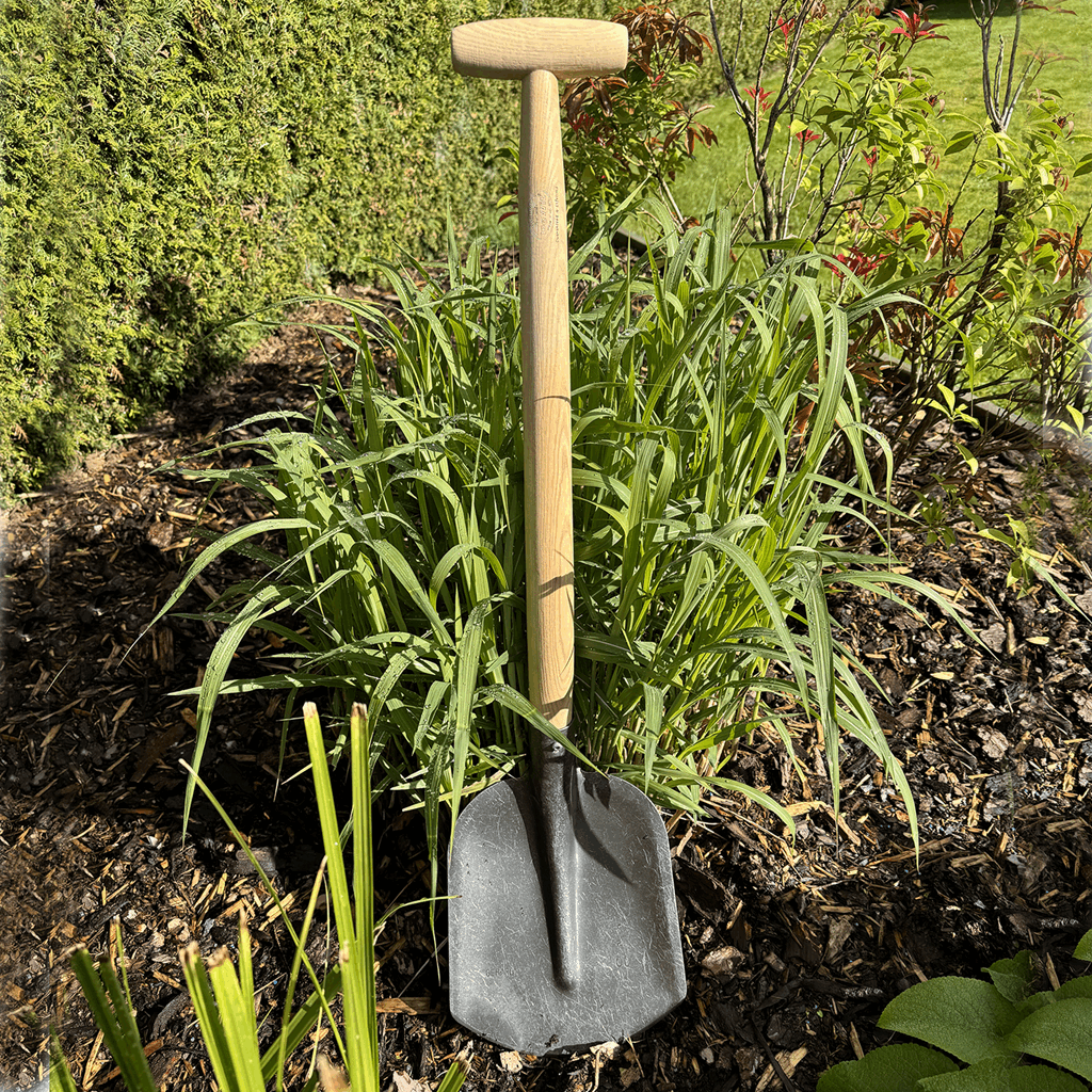 DeWit Shovel - Rounded T-Handle - Image 3