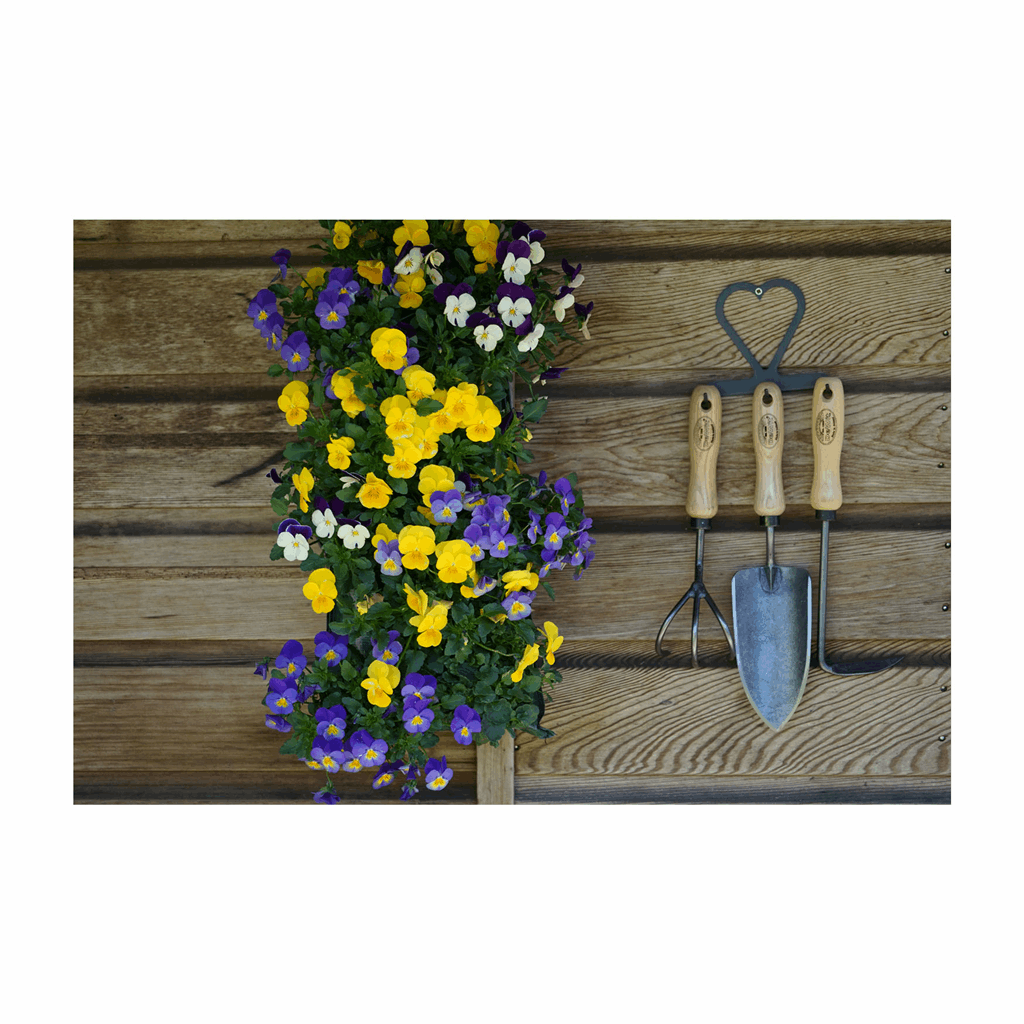 DeWit Tool Gift Set - 3 Piece with Hanger - Image 2