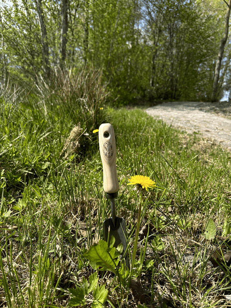 DeWit Trowel - Rock N Root - Image 6