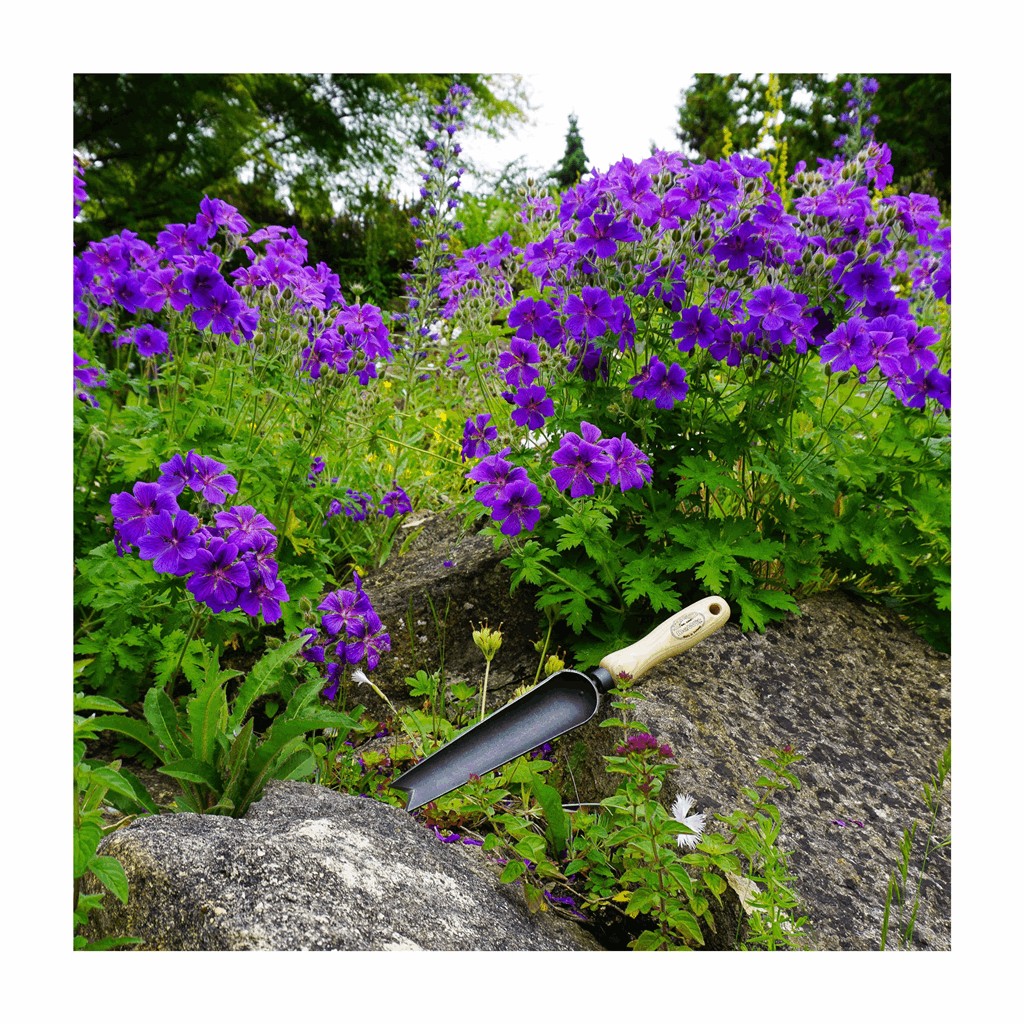 DeWit Trowel - Snake Tongue - Image 3