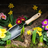 DeWit Trowel - Image 2