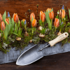 DeWit Trowel - Image 3