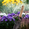DeWit Trowel - Image 4