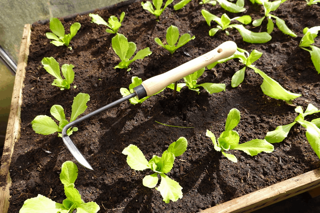 DeWit Weeder - Midsize Handle Right Hand - Image 3