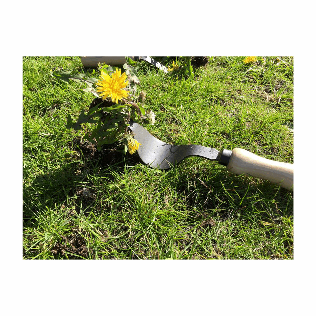 DeWit Weeder - Weedpopper - Image 2