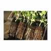 Deep Rootrainers - Image 2
