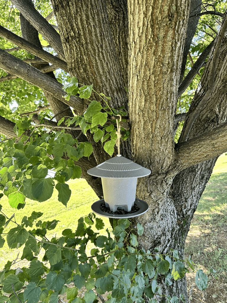 Deluxe Round Bird Feeder - Straw - Image 6