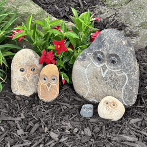 Family of Boulder Owls 5 Pcs 2"4"6"8"12"