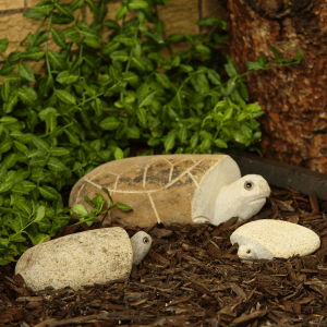 Family of Boulder Turtles 3 Pcs 4"6"10"