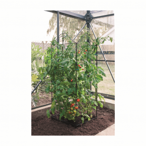 Fold-A-Frame