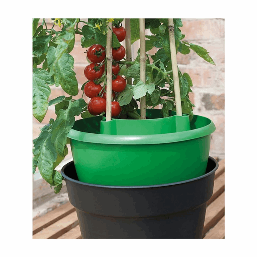 Green Plant Halos 3pk - Image 2