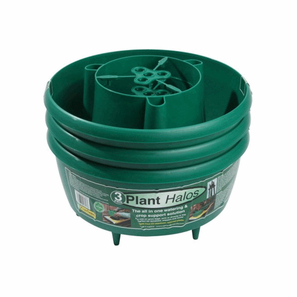 Green Plant Halos 3pk - Image 3