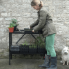 Haxnicks Rootrainer Racking Station w/ 8 Deep Rootrainers - Image 4