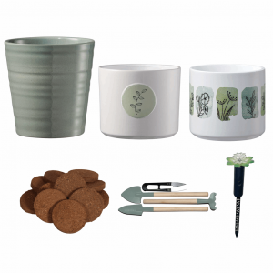 Jade Botanic Ceramic Indoor Pottery Kit