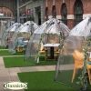 Large Sunbubble Greenhouse - Image 11