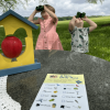 Little Pals Birdy Kit - Image 2