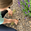 Little Pals Bug Watching Activity Kit - Image 5