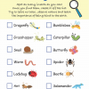Little Pals Bug Watching Activity Kit - Image 9