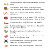 Little Pals Bug Watching Activity Kit - Image 10