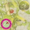 Micromesh Tomato Tube 3pk - Image 4