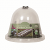 Original Victorian Bell 3pk - Image 2
