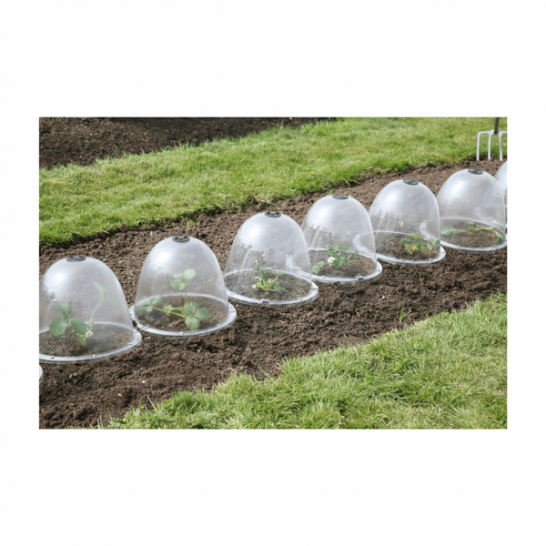 Original Victorian Bell 3pk