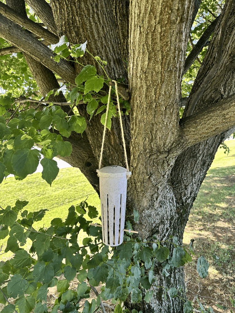 Peanut Feeder - Chaff - Image 7